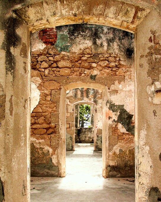 Click to See Next Image